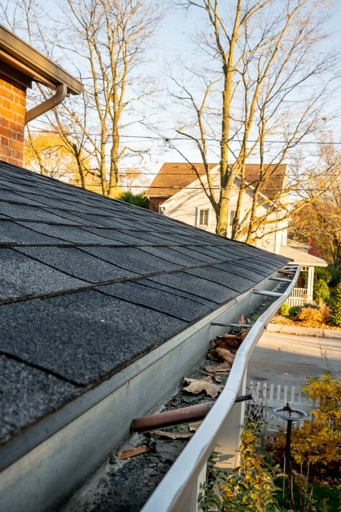 1. Check your gutters for loose screws and tighten them if necessary.