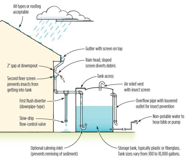 2 – A rainwater collection system is a great way to save water and money.