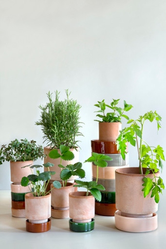 2-Line Plant Pots: These pots are perfect for small plants and can be made with just two coffee filters and a rubber band.
