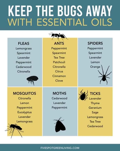 2. Natural Oils - You can keep wasps away by using natural oils like eucalyptus, lavender, or mint.