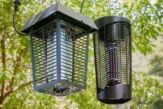 2. The Bug Zapper: A bug zapper is a device that uses electricity to kill insects.
