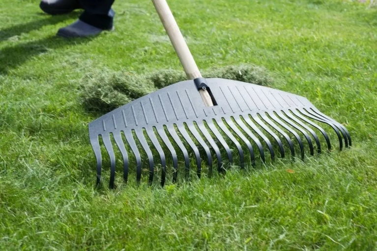 After mowing your lawn, you can take your grass clippings to a local disposal site.