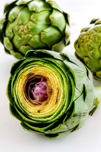 An artichoke is a thistle-like vegetable that is often eaten as a appetizer.
