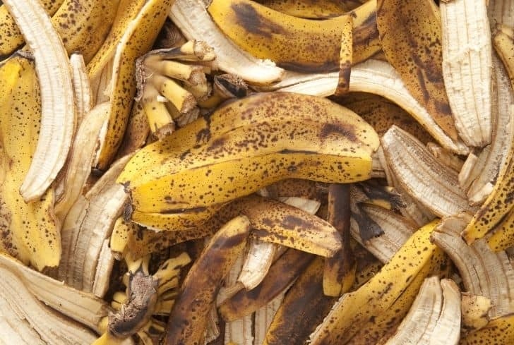Banana peels can be composted, but should not be put in the garbage disposal.