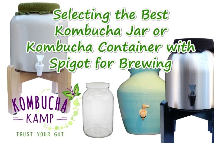 Brands of kombucha and homebrews can vary in their ingredients and brewing process, so it's important to know how temperature can affect your kombucha.
