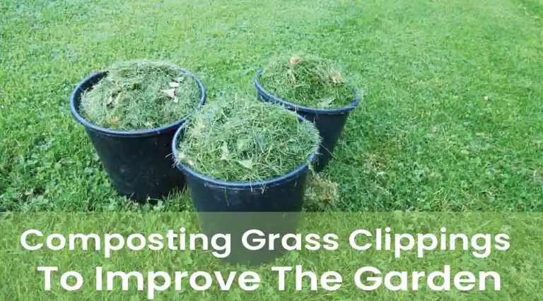 Composting grass clippings is an easy and effective way to reduce waste and improve your garden.
