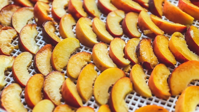 Dehydrating foods is a great way to preserve them for a long time.