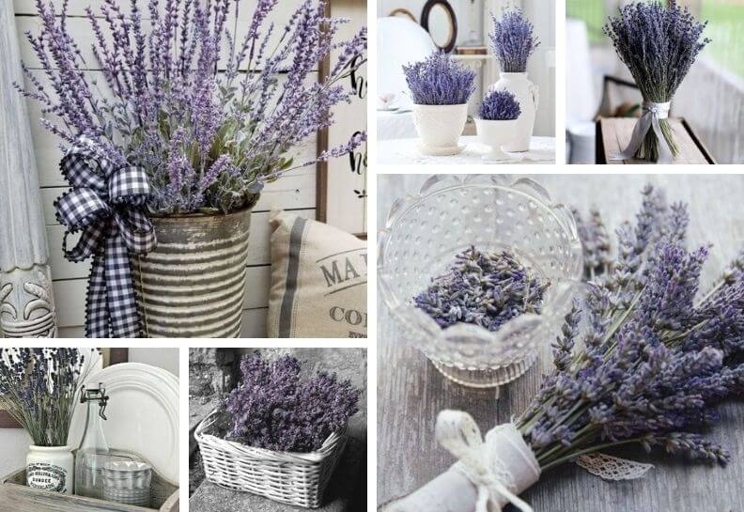 Dried lavender can be used as a decoration in your home.