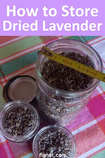 Dried lavender can last for years if stored properly.