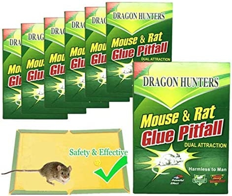 Duct tape is a common household item that can be used for many things, including making a glue trap for mice.