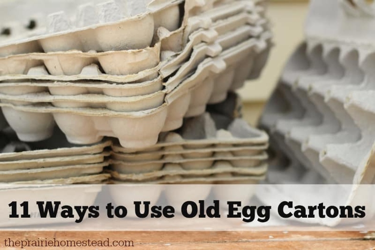 Egg cartons are a versatile packaging material that can be used for a variety of purposes.