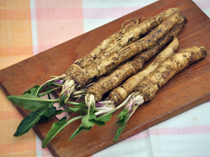 Horseradish is a root vegetable that is commonly used as a condiment. It has a strong, pungent flavor that can be made hotter by adding more horseradish to the recipe.