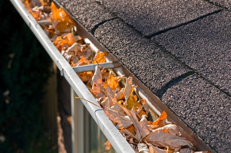 Ice dams can form when gutters are clogged with leaves and debris, causing water to back up and flood your basement.