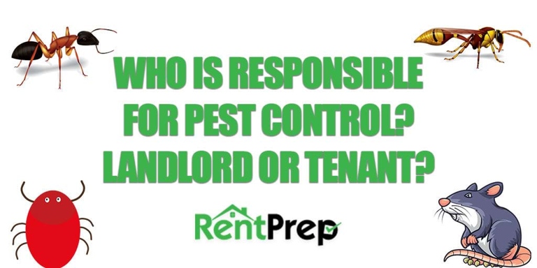 If you are seeing a lot of flies in your home, it may be time to call a pest control company.
