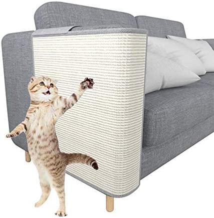 If you have a cat that likes to scratch, sisal may be a good couch material for you.