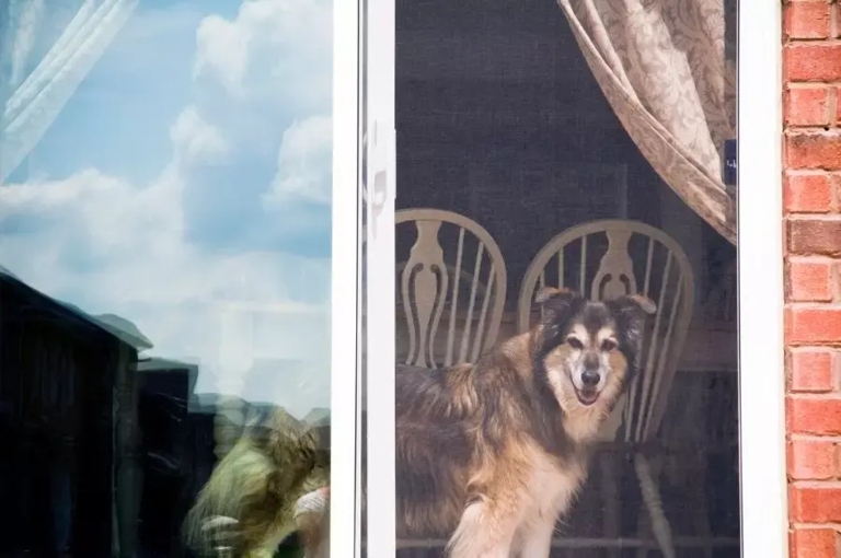 If you have a pet or young child, you know the damage they can do to a screen door.