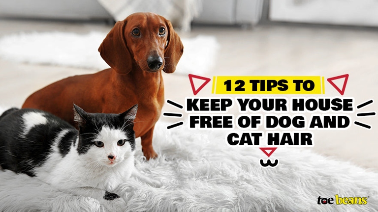 If you have a pet that sheds, you know how difficult it can be to keep your couch pillows free of pet fur.