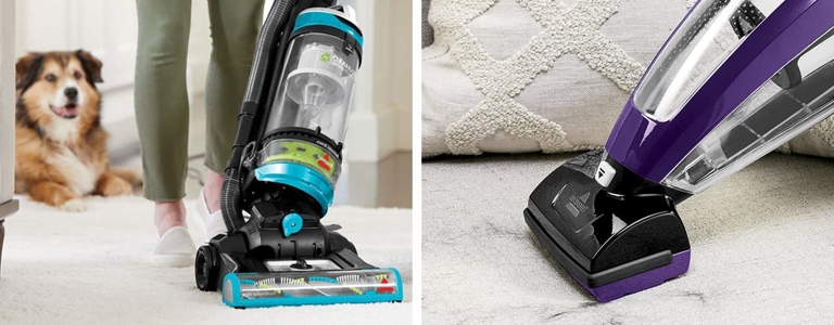 If you have a vacuum cleaner with a attachments, you can remove embedded pet hair from your couch.