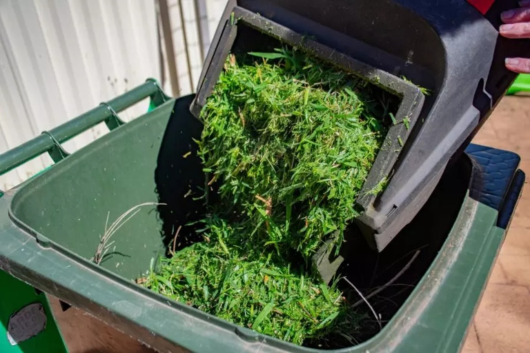 If you have a yard waste container, you can put your grass clippings in it.