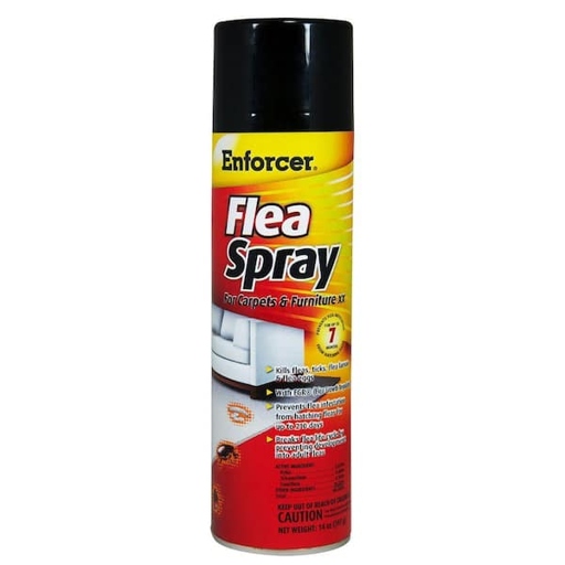 If you have fleas on your couch, you can use a flea spray that is safe for furnishings.