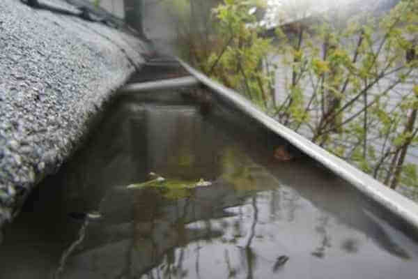 If you have standing water in your yard, it is likely that your gutter drains are blocked.
