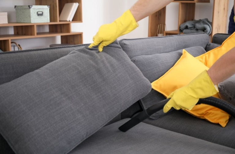 If you want to get rid of dust mites in your couch fabric, one simple tip is to control the room's humidity.