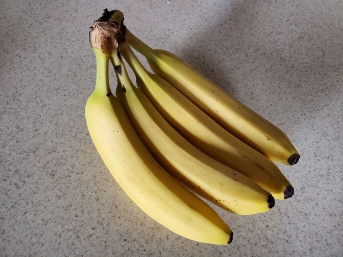If you want to keep fruit flies away from your bananas, and other fruit, make sure to keep them covered.