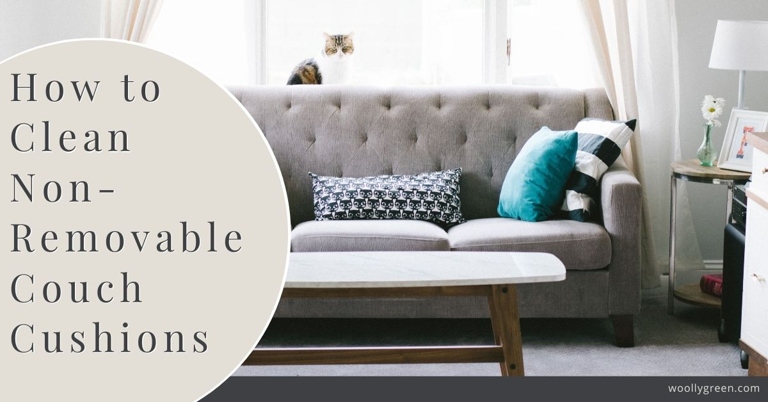 If your couch cushions are not removable, don't worry, there are still ways to clean them.
