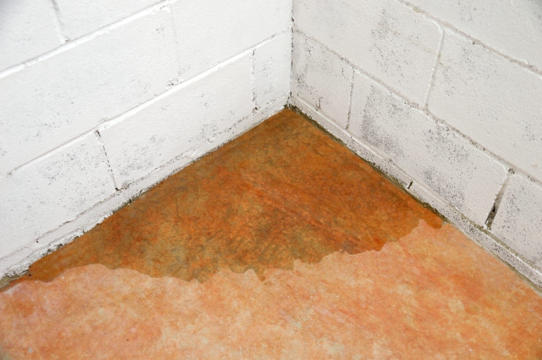 If your gutters are clogged, it can lead to basement flooding.