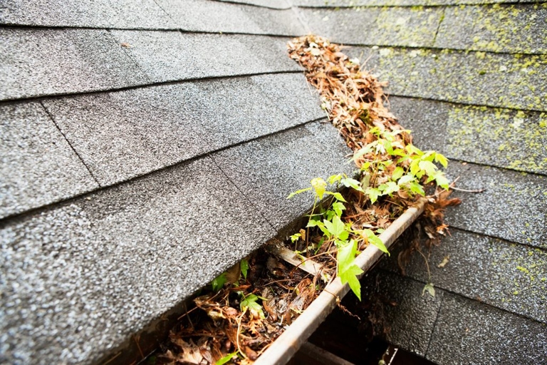 If your gutters are full of leaves and other debris, they're probably clogged.
