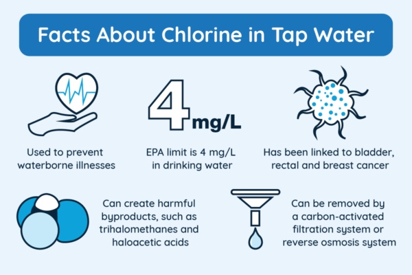 If your tap water smells like chlorine, it is likely due to your municipality adding chlorine to the water to kill bacteria.