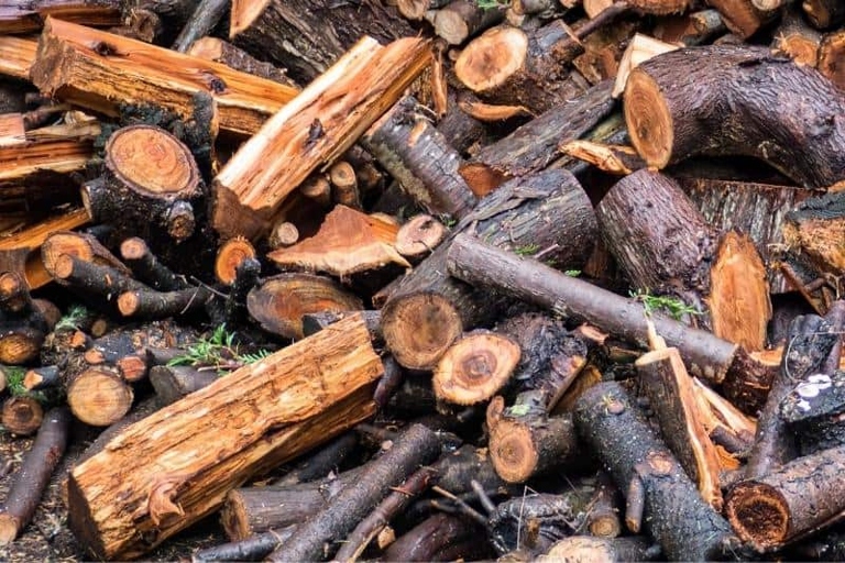 If your wood is wet, you can still use it, but it will take longer to dry out and burn.