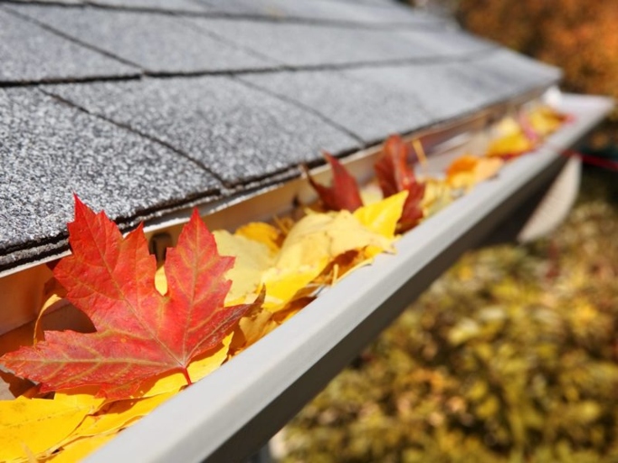 If you're considering buying gutter guards, you may be wondering if they're worth the investment.