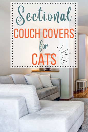 If you're looking for a couch cover that will stand up to your cat's claws, canvas is a good option.