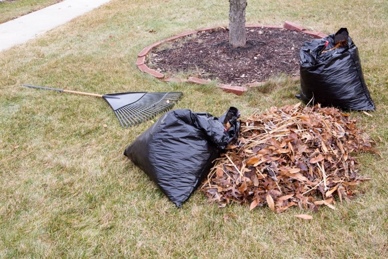 If you're looking for a way to shred leaves without a shredder, consider leaving them on the lawn.