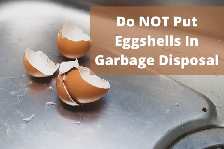 If you've ever wondered whether you can put eggshells in a garbage disposal (and if they really sharpen your blades), wonder no more.