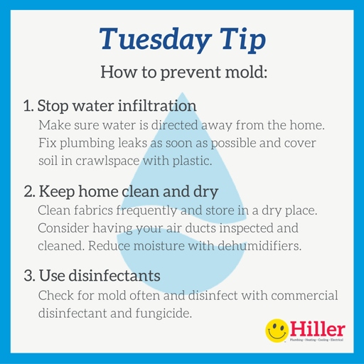 Molds can build up over time, so it's important to clean them regularly.