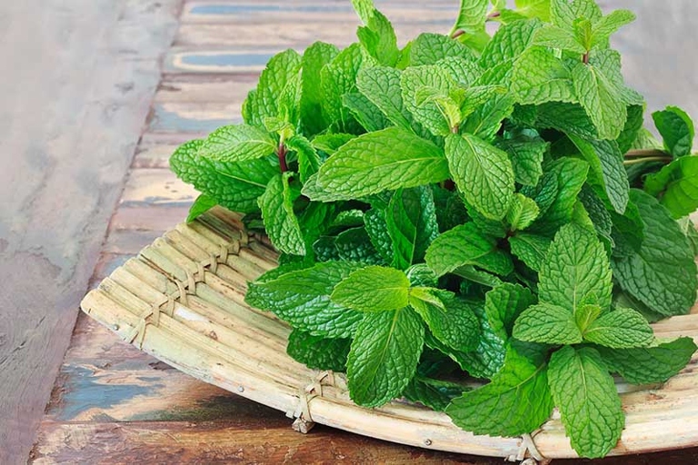 Next, place the mint leaves on a clean, dry surface. To dry your mint leaves, first wash them and then pat them dry. Finally, allow the mint leaves to air dry for 24 hours.