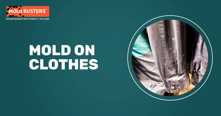 One common reason for mildew on your clothes is that they are not getting enough air circulation.