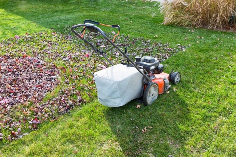 One way to shred leaves without a shredder is to use a lawn mower.