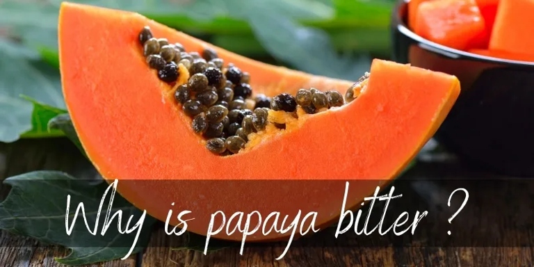 Papaya is a fruit that is often eaten for its sweetness, but it can sometimes be bitter.