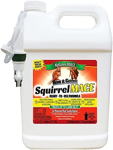 Squirrel repellent products are a great way to keep squirrels away from your property.