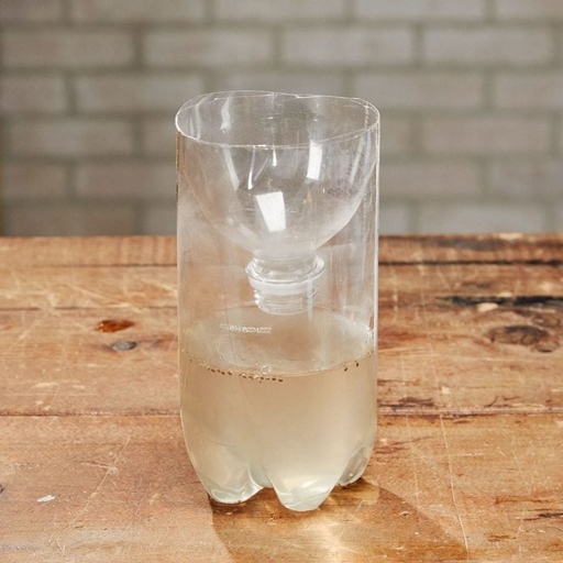 Stale wine is one of the most common traps for gnats.