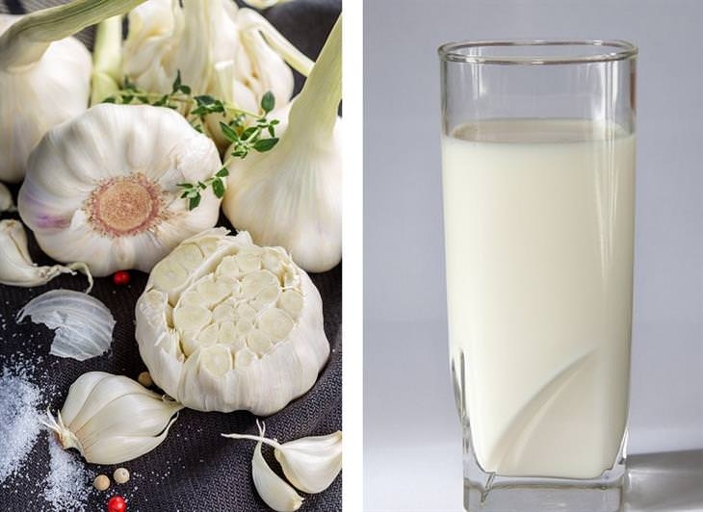 The calcium in milk can help neutralize the odor-causing compounds in garlic. If you're worried about smelling bad after eating garlic, try drinking milk.