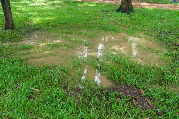 The downspout is killing grass because it is channeling water directly onto the grass, preventing the water from seeping into the ground and watering the roots.