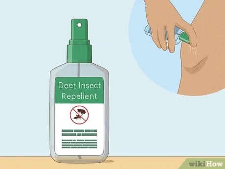There are a few things you can do to prevent flea bites, including: keeping your home clean, using flea repellents, and treating your pets for fleas.