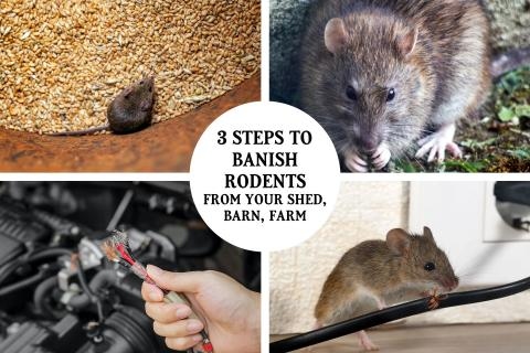 There are other methods of keeping mice away from rabbits, such as using a mouse-proof fence.