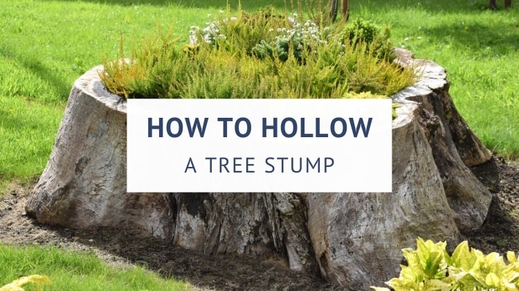 There are two ways to hollow out a tree stump: with a chainsaw or with a drill.