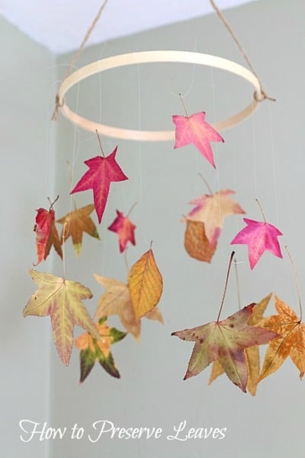 This craft project is a great way to preserve your fall leaves.