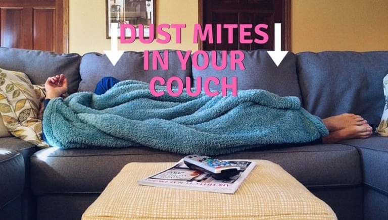 This is a simple but effective tip for getting rid of dust mites in your couch fabric - air the couch out in the sun.